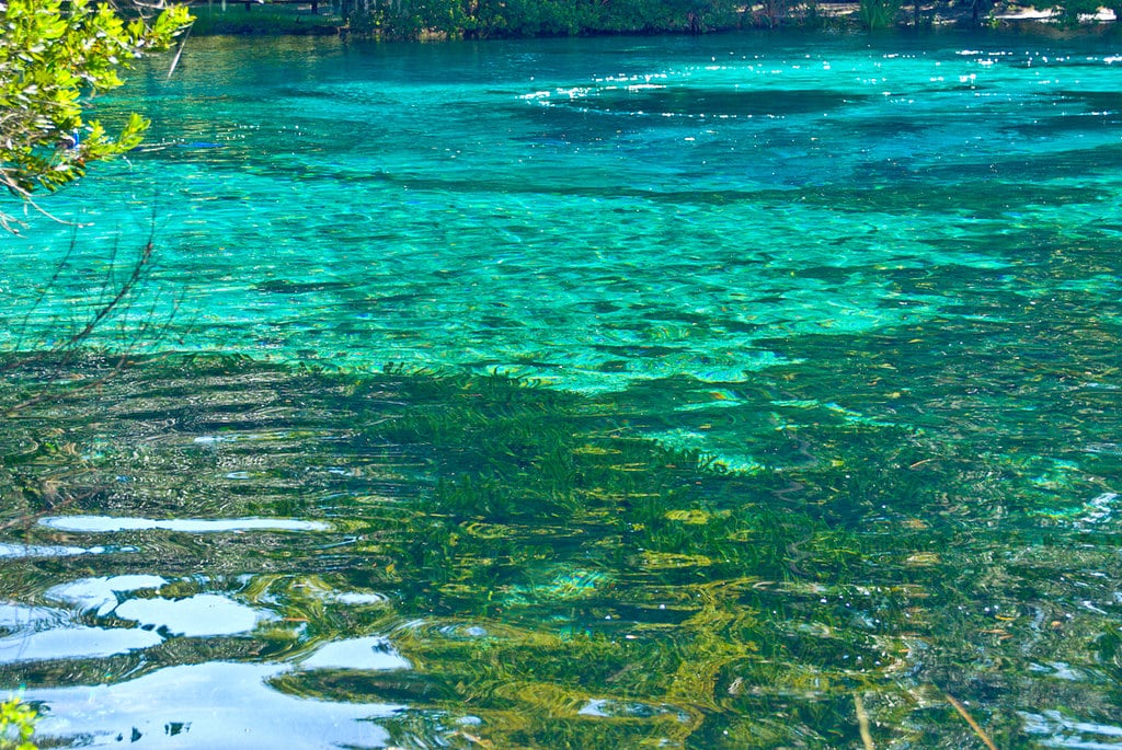 Silver Glen Springs main spring vent