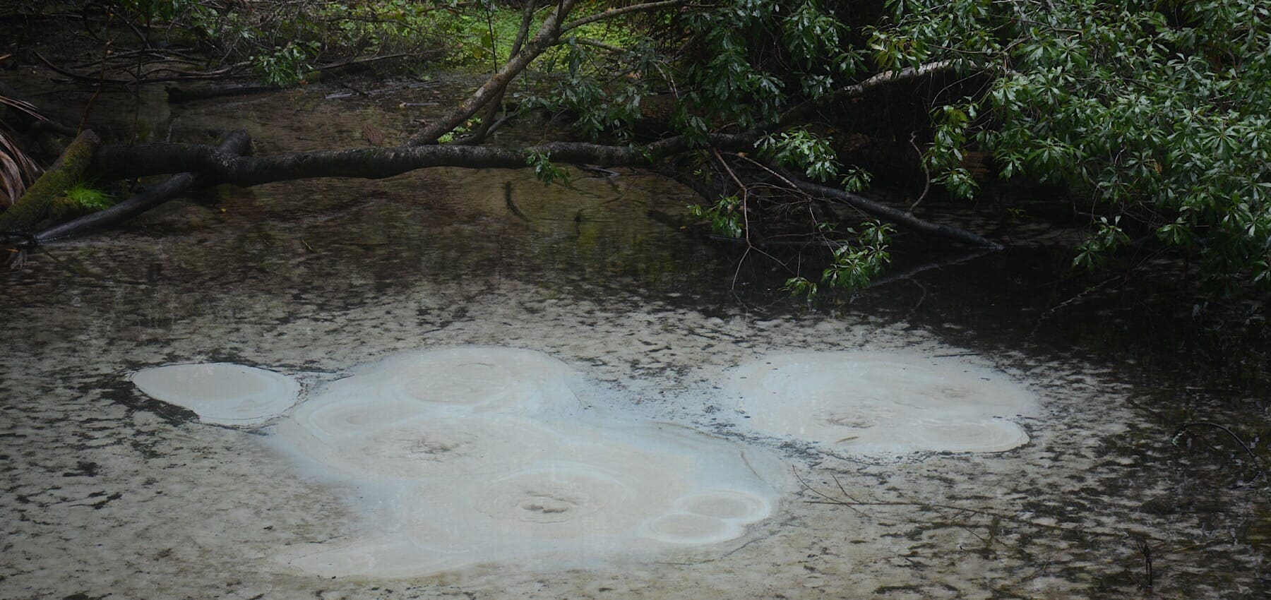 Spring Boils Trail