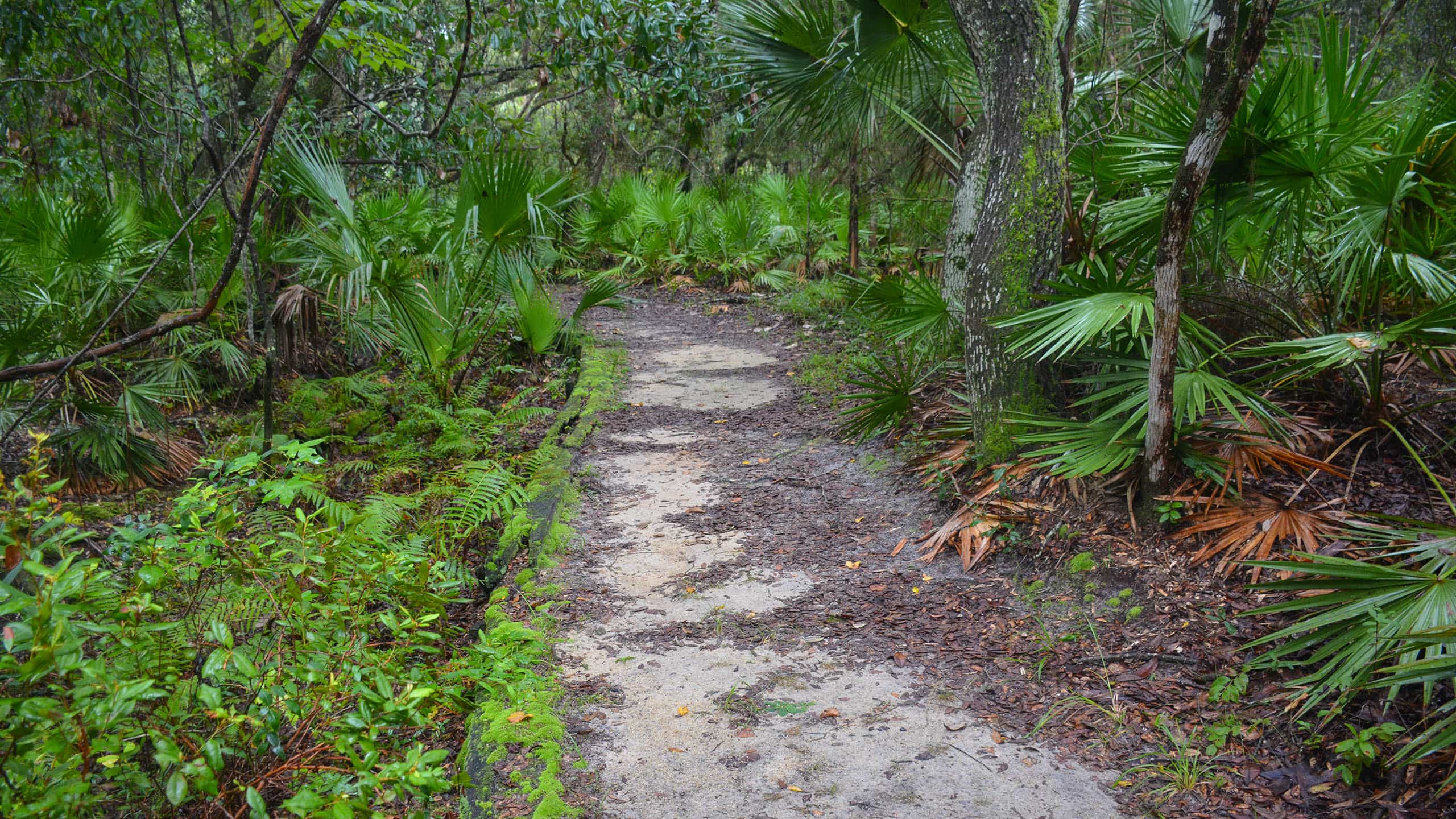 Lake George Trail footpath