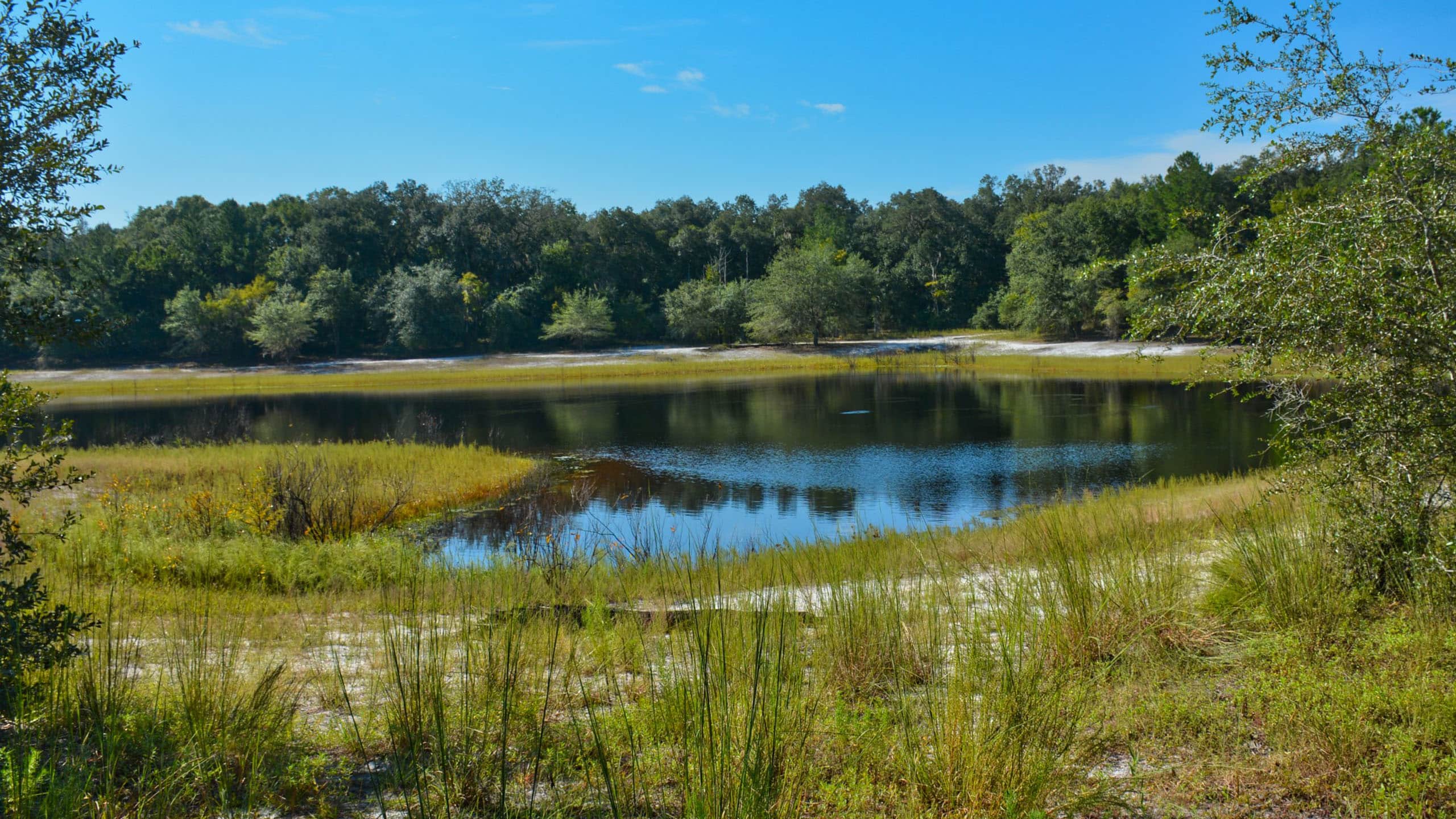 Indian Lake