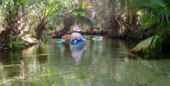 Paddling Juniper Run