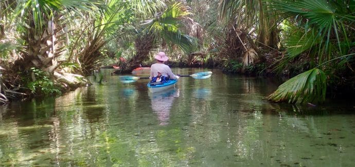 Paddling Juniper Run