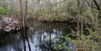 Florida Trail, Sopchoppy River