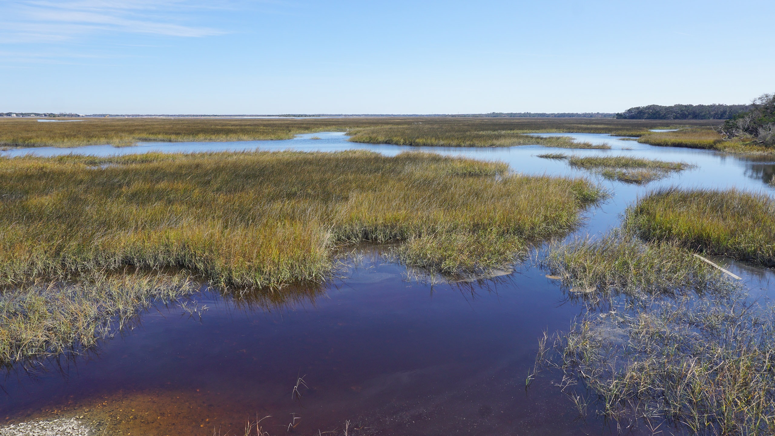 Estuary winding waters