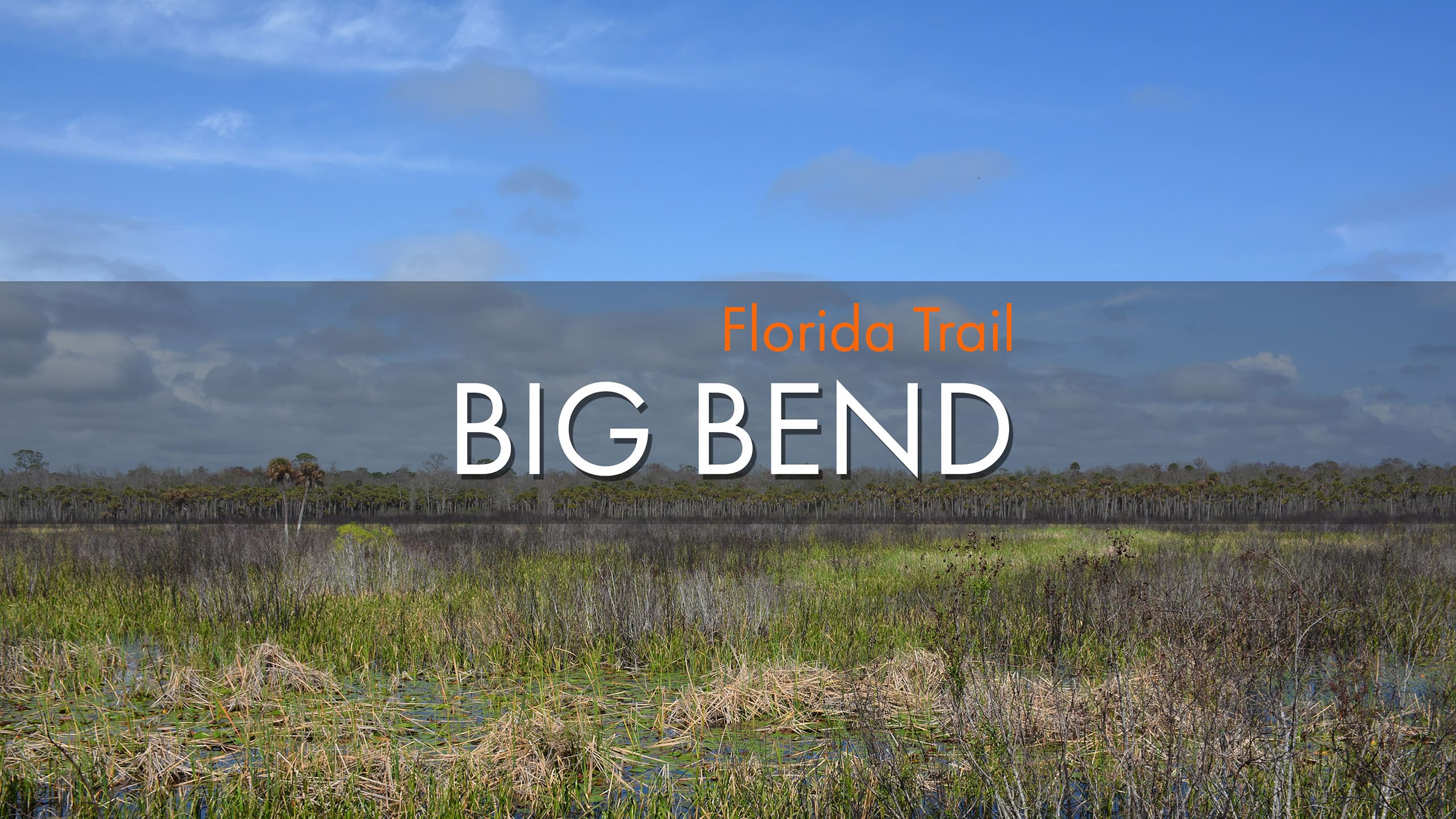 Words Florida Trail Big Bend over a lush marsh lined with palms and cypress on horizon