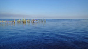 Charlotte Harbor