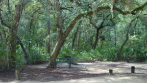 Fore Lake Campground