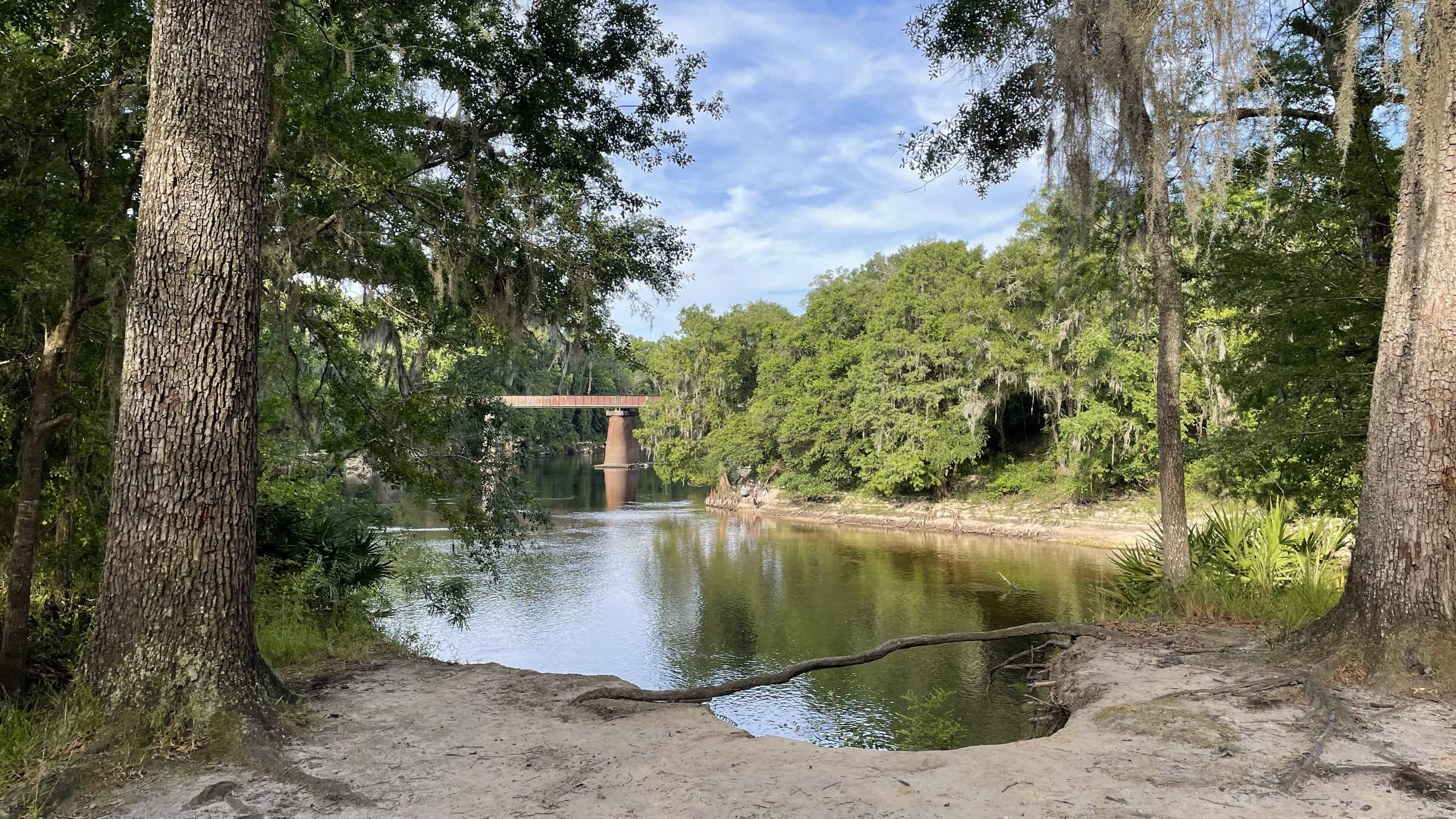 View of railroad bridge and rivers from peninsula