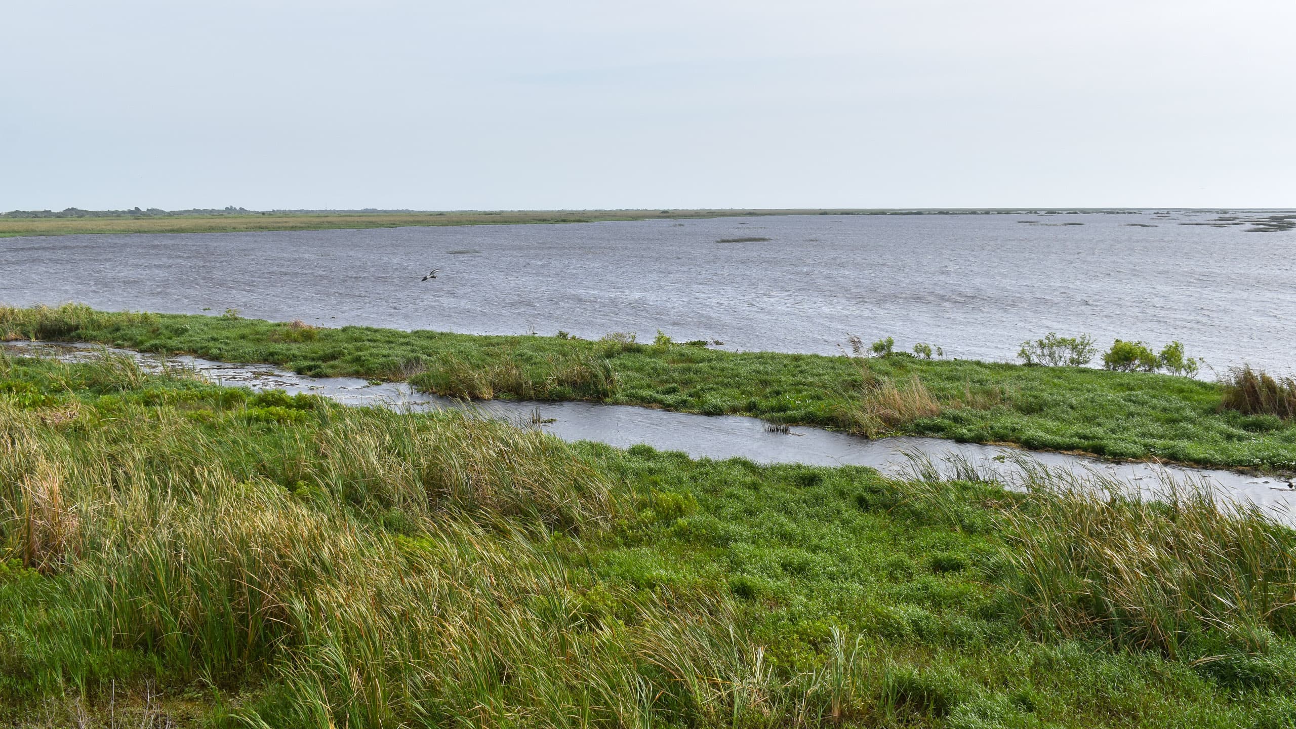 Lake Okeechobee view on a windy day