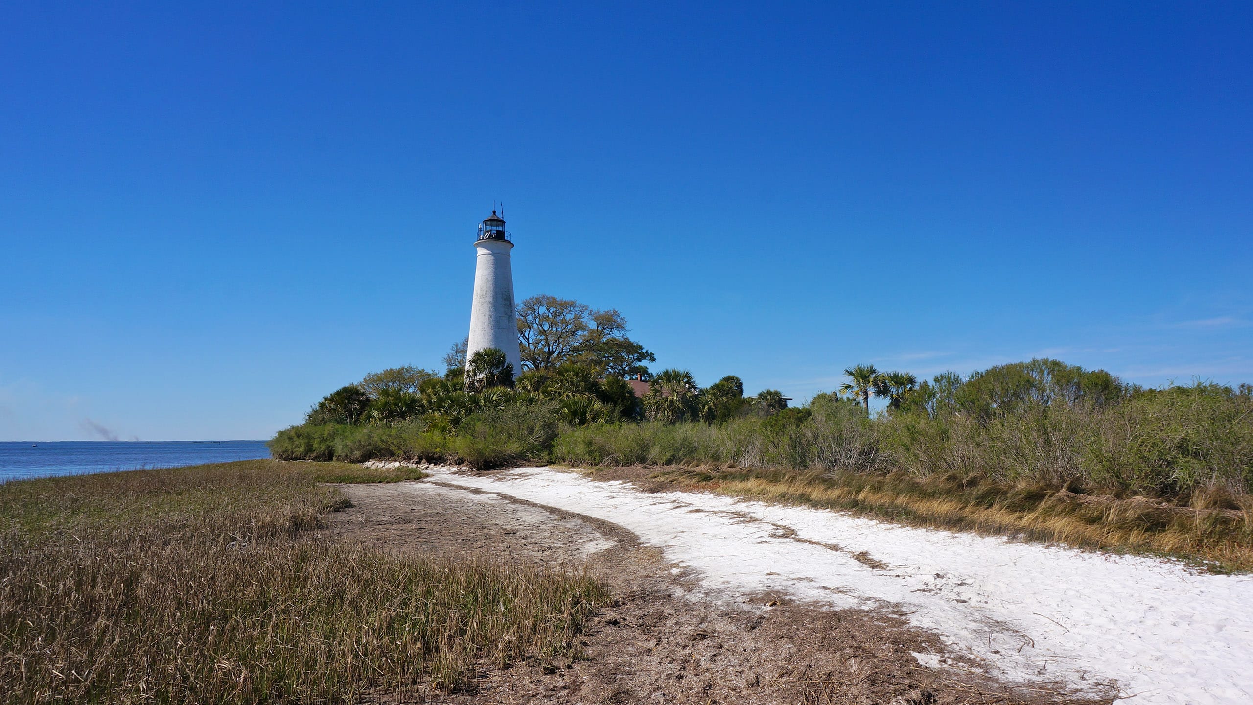 Lighthouse with palm trees and white sand beach on marsh