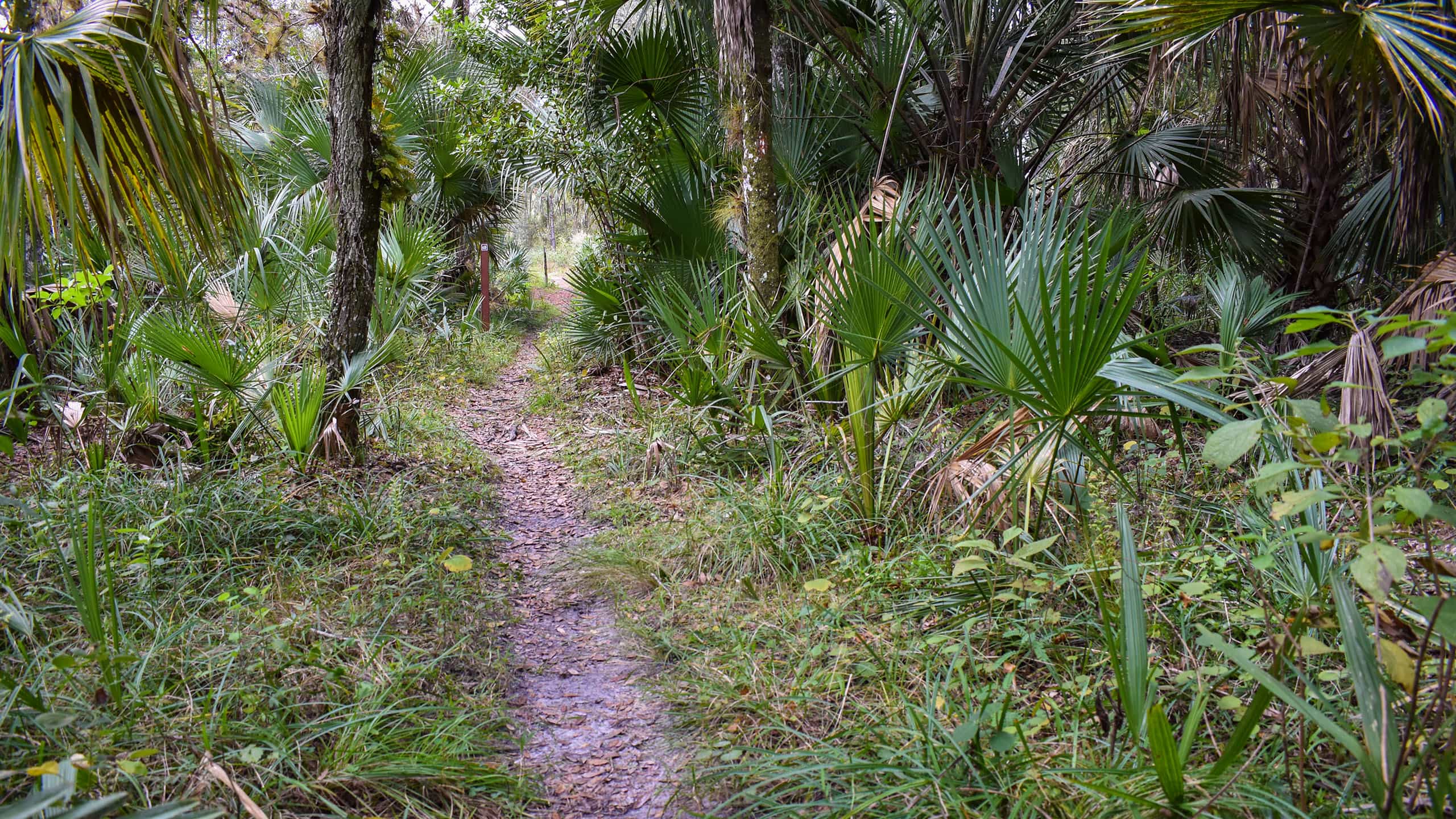 South Fork Nature Trail