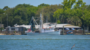 Mayport shrimp boat