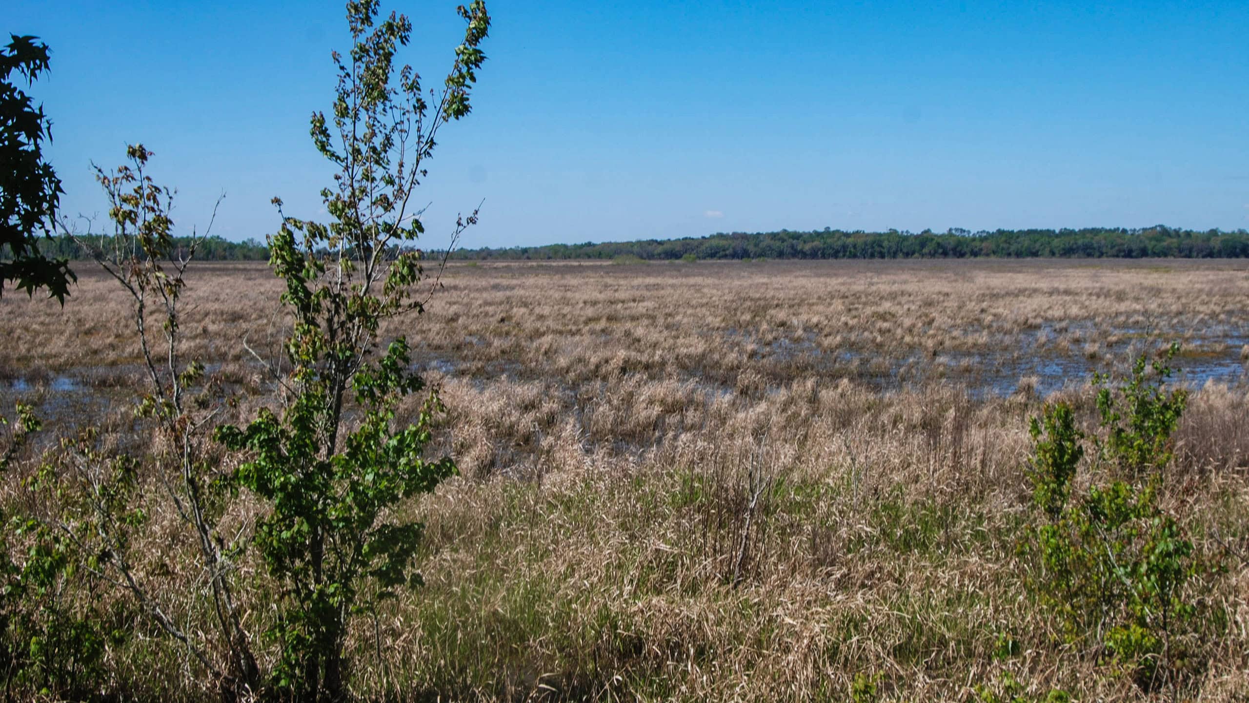 Broad open prairie