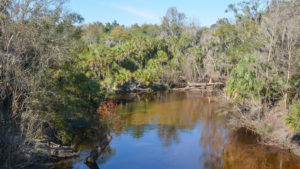 Brownish river with wooded surroundings