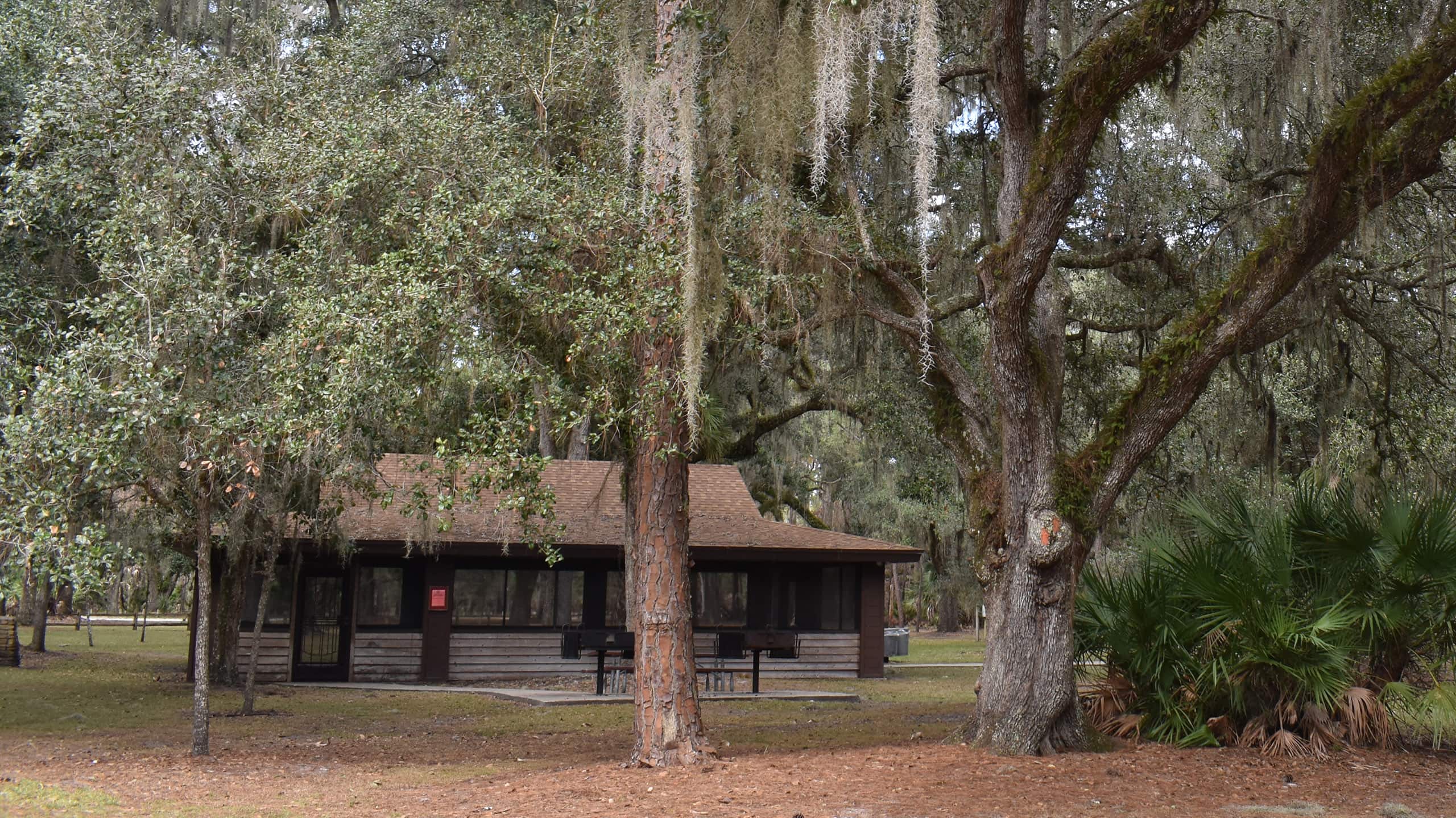 Picnic pavilion under tree canopy