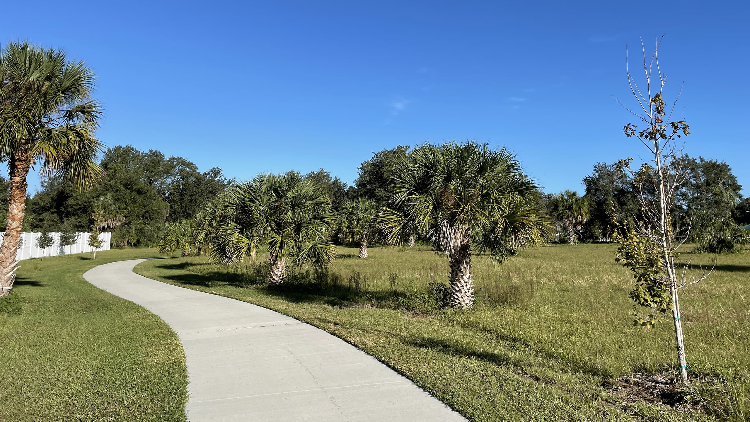 Paved path in restoration area