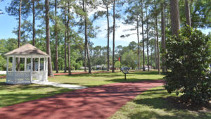 Gazebo in a park with pine trees