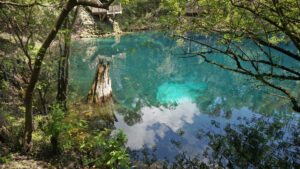 Aquamarine bowl of spring surrounded by forest