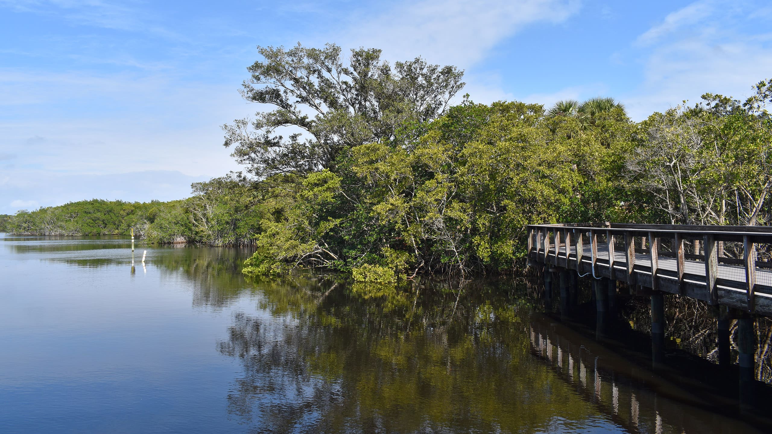 Boardwalk along blue waterway and mangroves