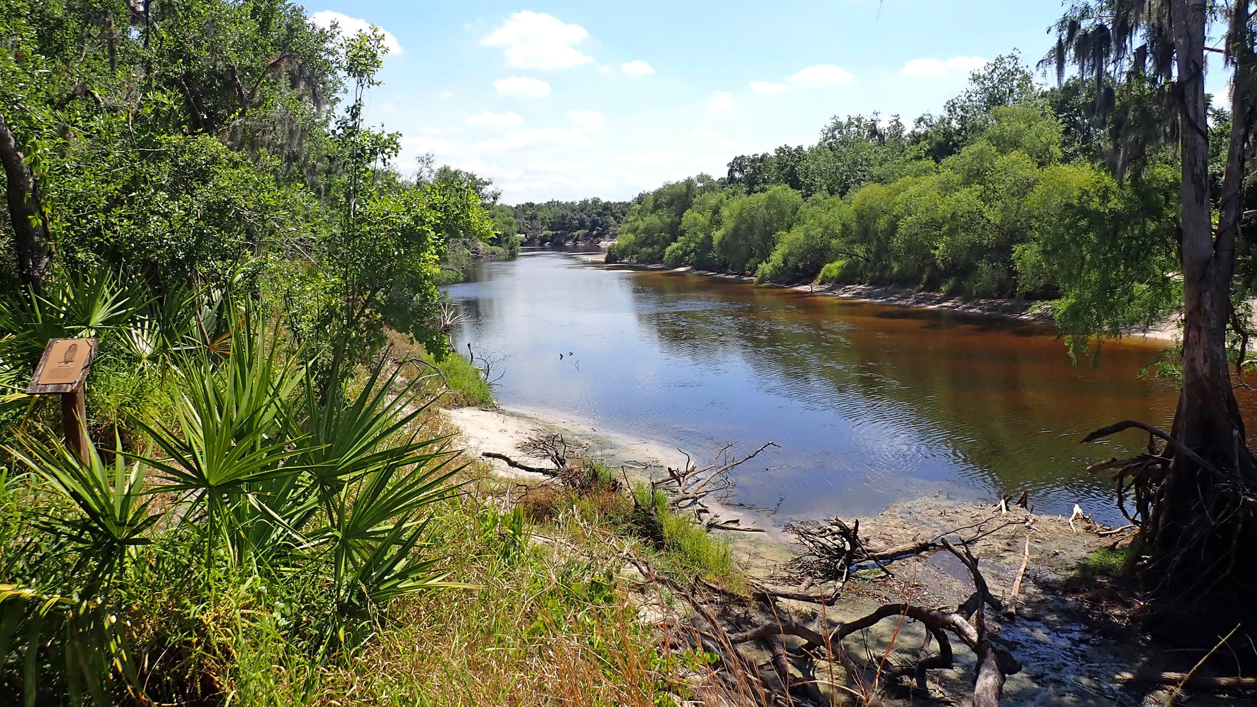 View of river from high bluffs