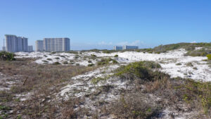 Dunes with condos on horizon