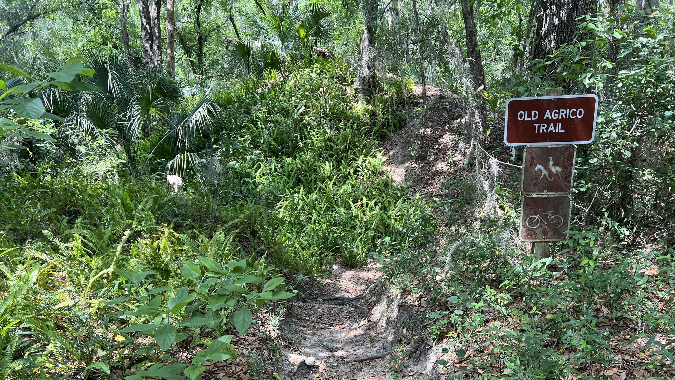 Trail sign with narrow footpath behind