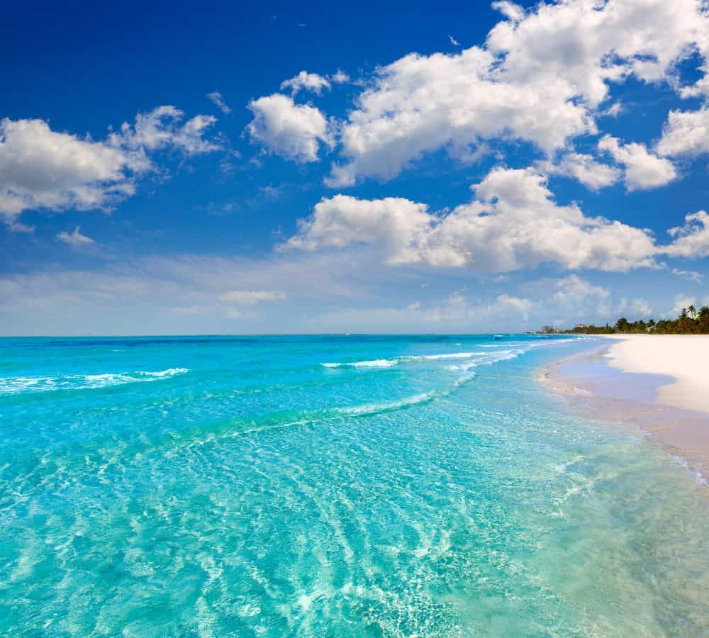 Best Beaches In Florida 2024 - Dale Mignon