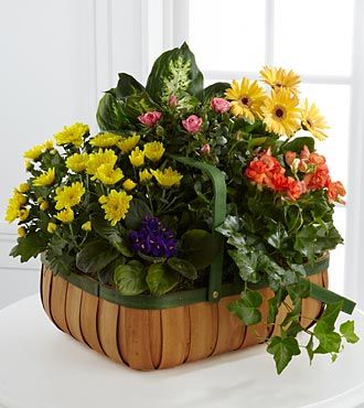 Gentle Blossoms Basket - C26-4524