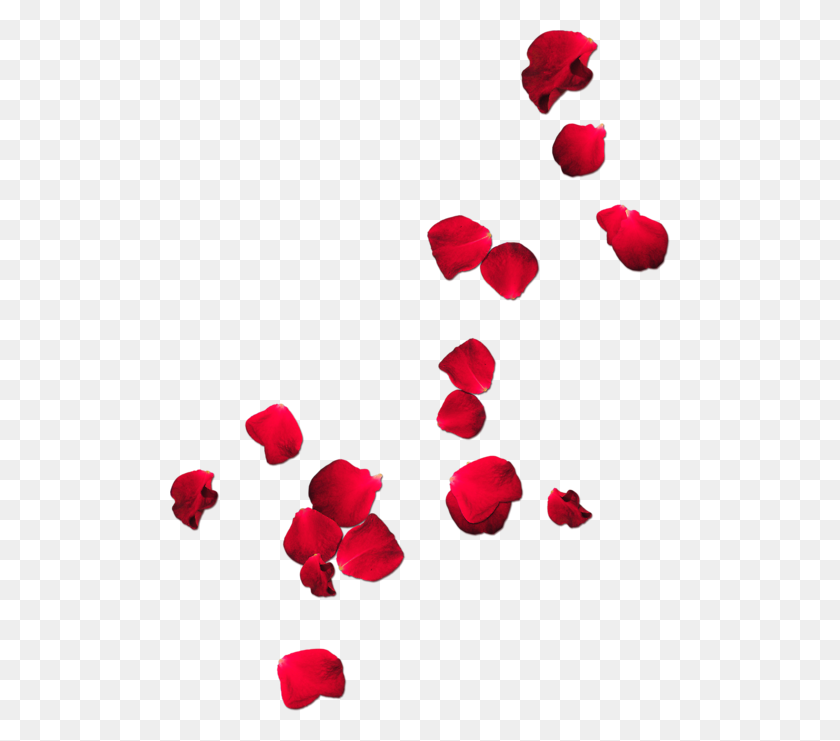 Rose Petals Falling Png Falling Rose Petals Png Stunning Free Transparent Png Clipart Images Free Download