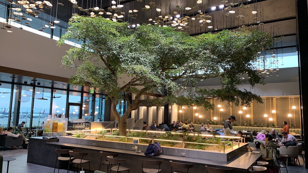 a group of people sitting at tables under a tree