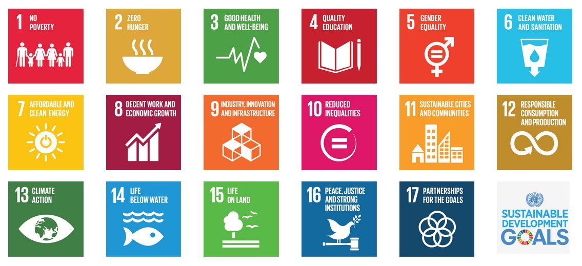 SDG logo