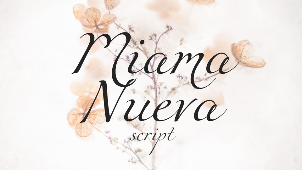 miama_nueva