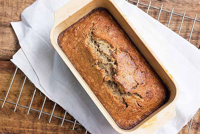 The Best Zucchini Bread Recipe | Foodal.com