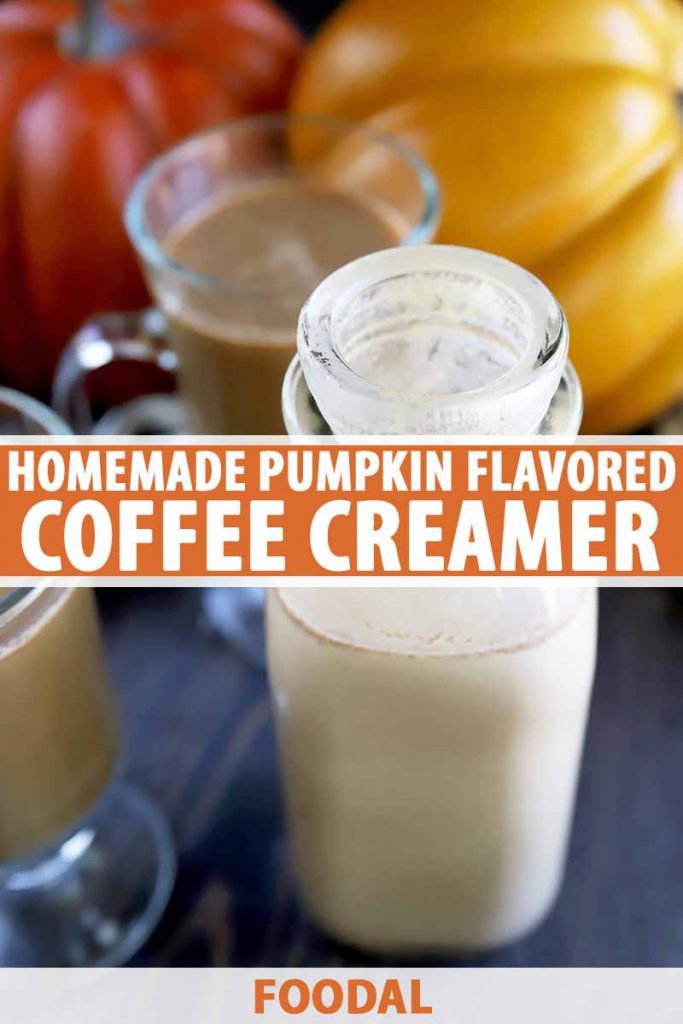 Vertical image of glasses of coffee and a bottle of creamer and pumpkins in the background, with text in the center and bottom of the image.