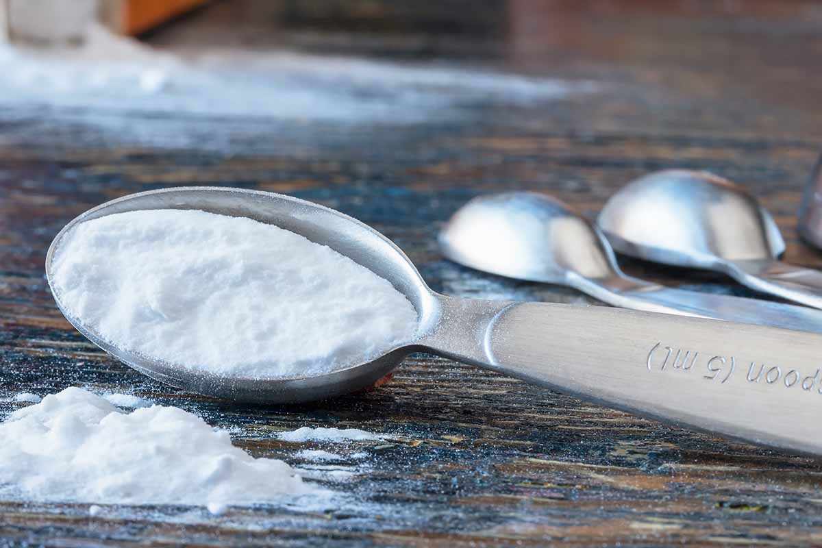 Horizontal image of a teaspoon of a dry leavening agent on a wooden table.