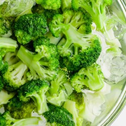 blanched broccoli in water bath