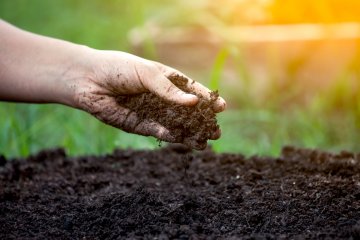 The 8 Best Potting Soil, Soil Amendments, and Fertilizers for Fantastic Crops! 