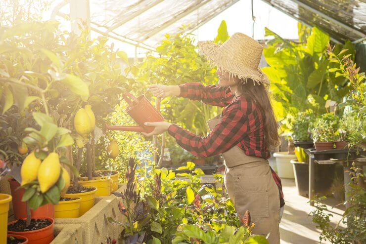 pretty young woman gardner waters the plants in a greenhouse