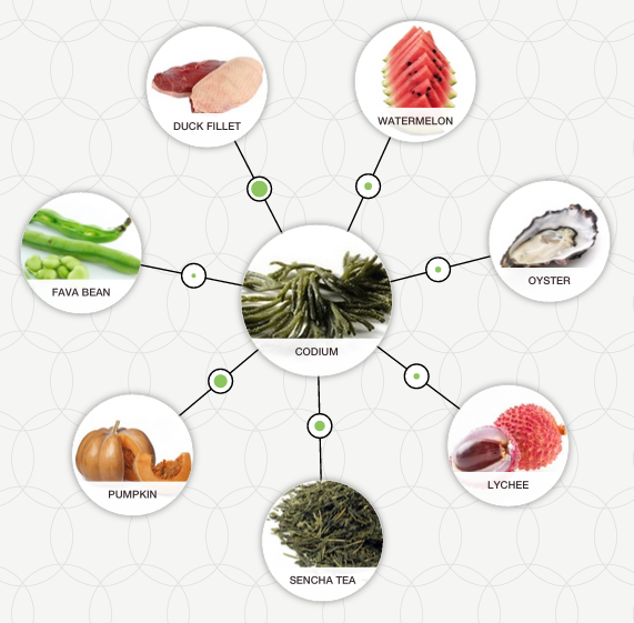 combinations pairing food pairing algae