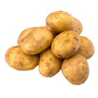 Potato