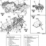 Firing Order?: I Asked You Some Questions Last Week About My