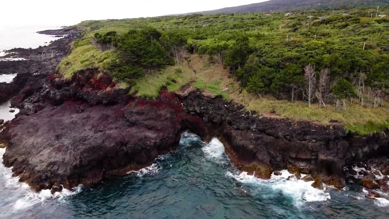 🎥ドローン空撮映像 / 伊豆大島