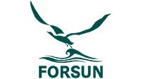 FORSUN