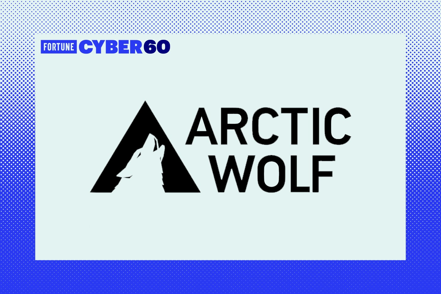 Arctic Wolf Networks