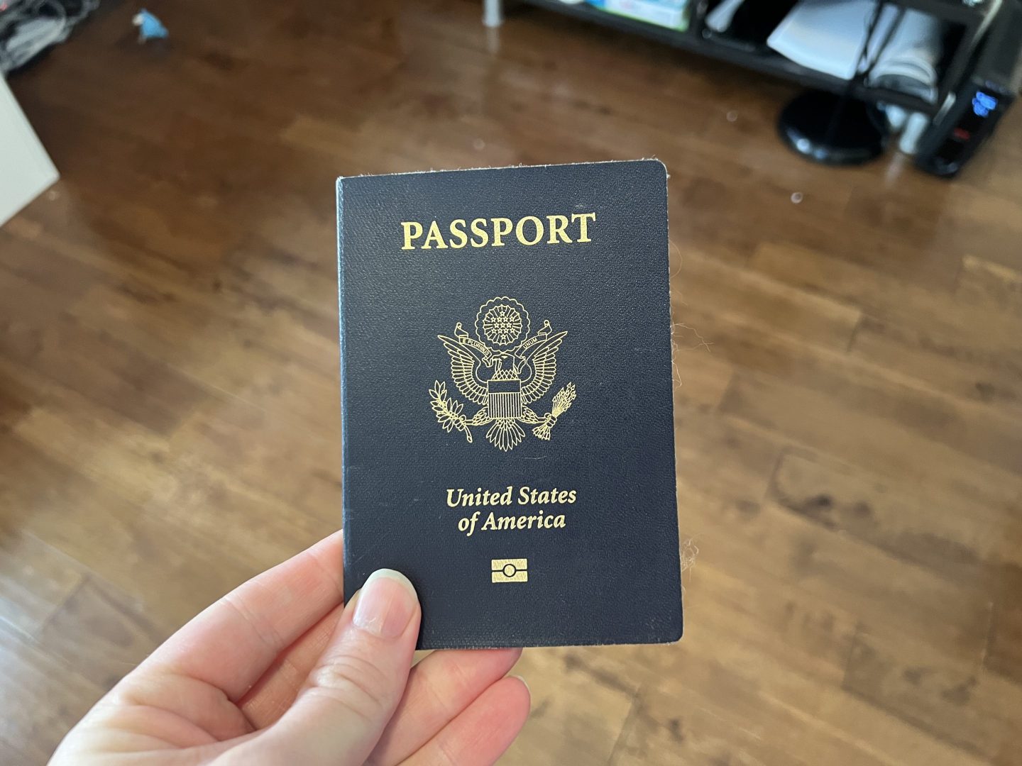 Person holding a United States passport with Department of State logo visible, Lafayette, California, May 23, 2023. (Photo by Smith Collection/Gado/Getty Images)