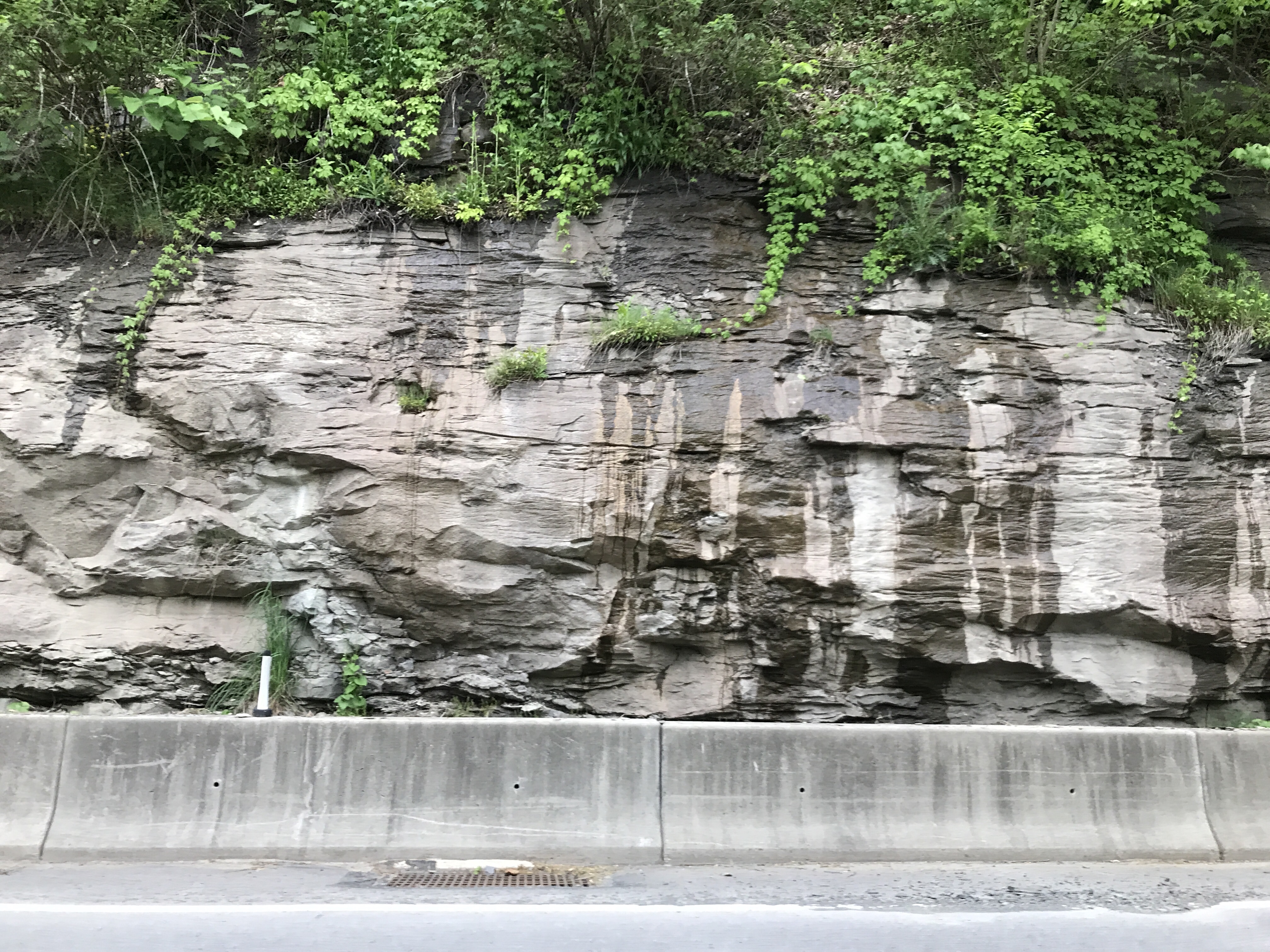 The Allegheny Formation - Fossils of Parks Township