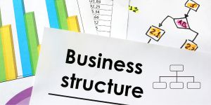 A Quick Look at Business Structures for Startups