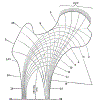 orthoLegFemurRtStressLinesGrayBB248.gif