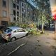 Un arbre tombé sur une voiture sur le cours Docteur Long au passage de la tempête Kirk à Lyon, dans le quartier Monchat le 9 octobre 2024.