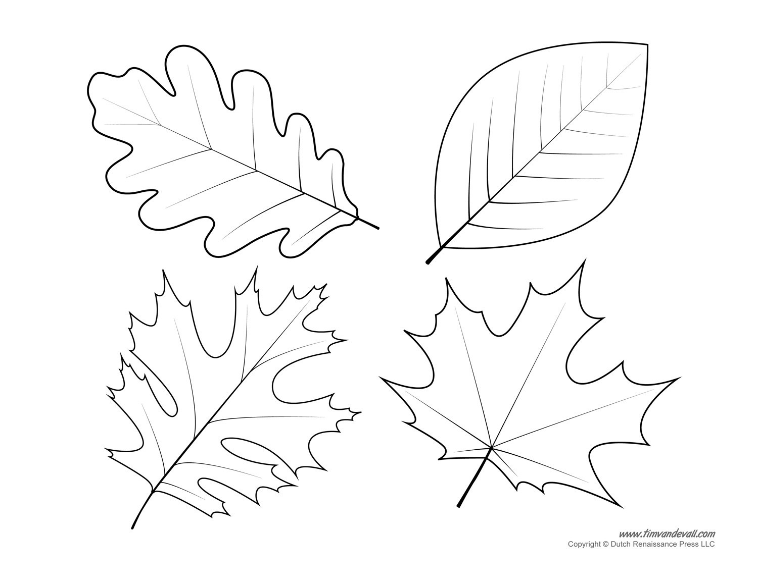 Printable Leaves Templates